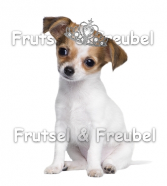 Strijkapplicatie Baby Hondje Strijkapplicatie Baby Hondje